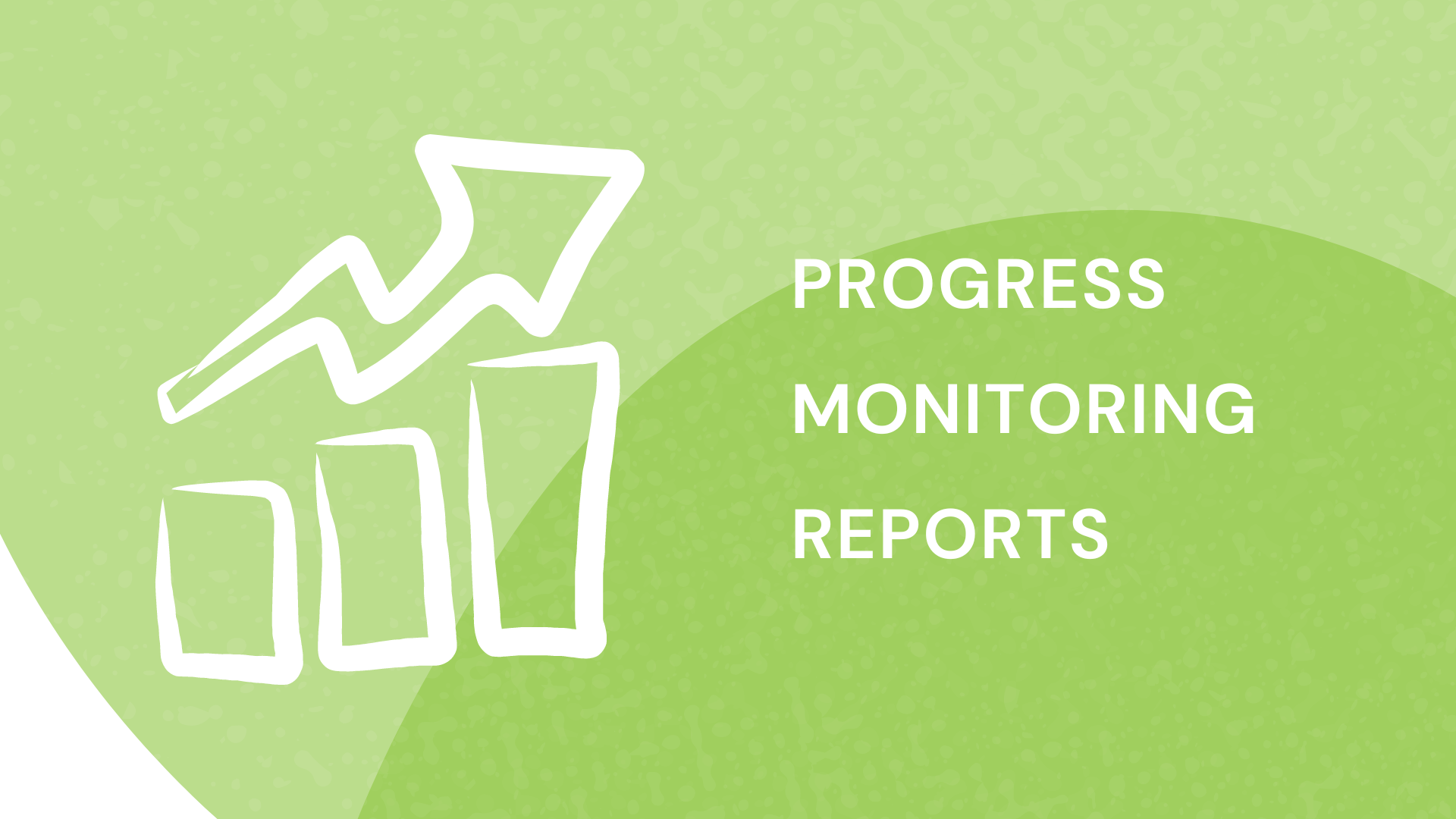Progress Monitoring Reports